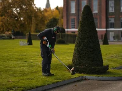 Lawn Overseeding: Thickening Thin Grass