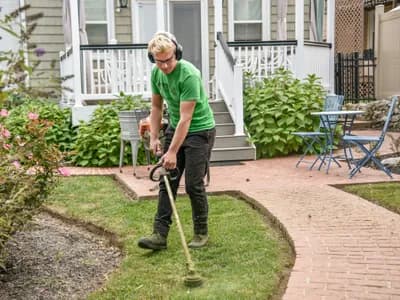 Tree Pruning: Seasonal Timing and Techniques
