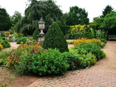 Native Plant Landscaping: Eco-Friendly Gardens