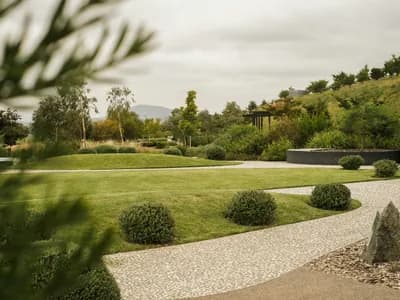 Lawn Fertilization: Timing and Application