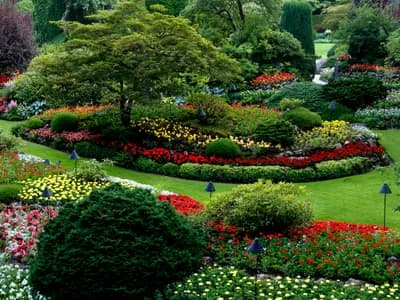 Garden Tool Maintenance: Keeping Tools Sharp