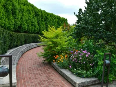Soil Testing: Understanding Your Garden's Needs