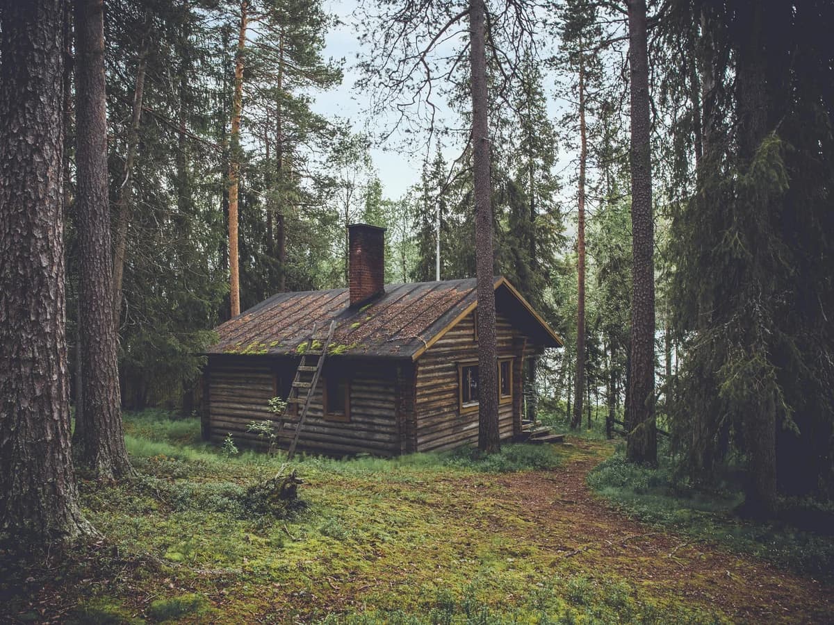 Rental cabin and managed property service